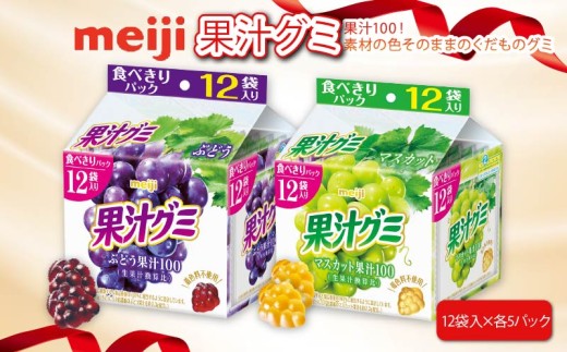 明治 果汁グミ スマートパック ぶどう ＆ マスカット 163ｇ × 各5個 グミ 葡萄 ブドウ お菓子 おやつ フルーツ 果物 果汁 詰め合わせ 詰合せ セット  まとめ買い 静岡県 藤枝市 