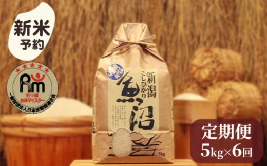 【新米予約】令和７年産「五つ星お米マイスター」の南魚沼産コシヒカリ　精米5kg×６回（毎月定期便）【2025年10月上旬より順次発送予定】