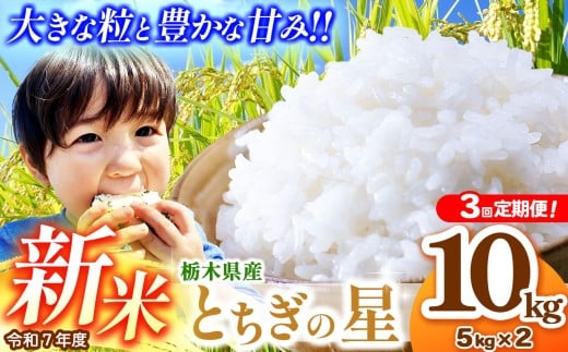 【先行予約】【定期便3回】とちぎの星 5kg×2 (10kg)  | 2025年 10月 11月 12月 秋 先行予約 新米 真岡市産 こしひかり コシヒカリ とちぎの星 銘柄 お米 米 おにぎり おむすび  ふるさと納税 先行 予約 栃木県 真岡市 送料無料