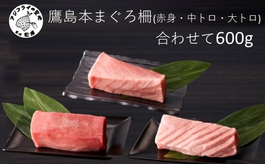 鷹島産本まぐろ柵(赤身・中トロ・大トロ) 合わせて600g( マグロ まぐろ 赤身 中トロ 大トロ 本まぐろ 手軽 おつまみ 柵 流水解凍 )【C7-027】