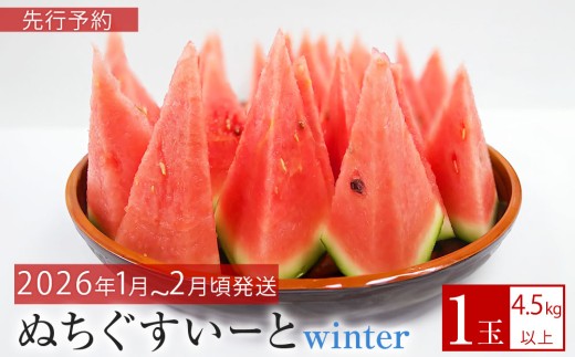 先行予約　【JAおきなわ】厳選すいか！ぬちぐすいーとwinter　【2026年1月～2月頃発送】