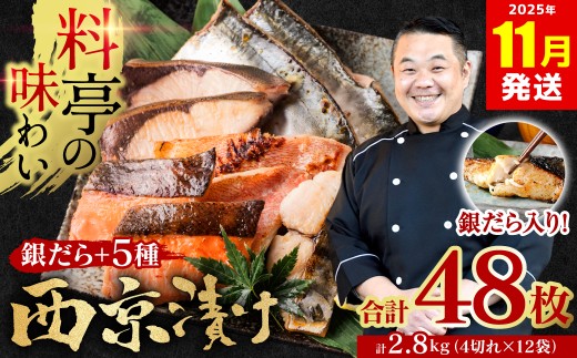【訳あり】 厳選 鮮魚 西京漬け 2.8kg 銀だら入り たっぷり 48枚 西京焼き 4切れ×12袋 魚 日本料理店 料亭 西京焼き 銀だら 厳選 鮮魚 魚 さかな 冷凍 【2025年11月発送】