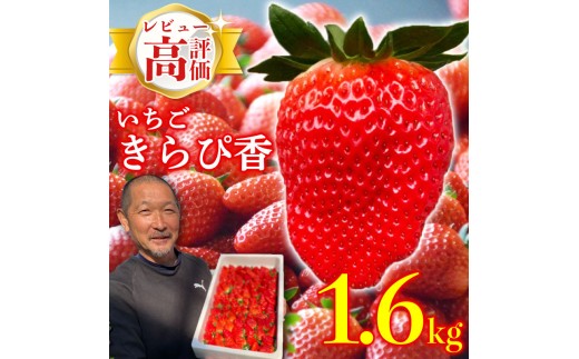 いちご 予約受付 【2026年1月から出荷