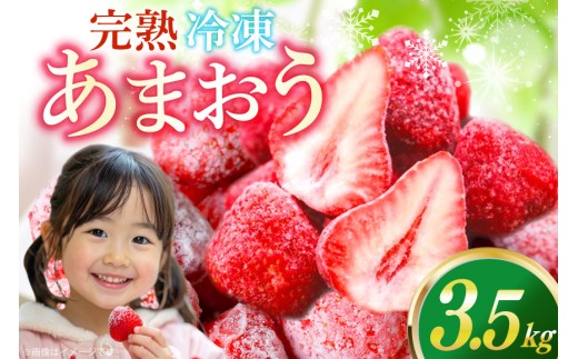 【先行受付】いちご 冷凍 冷凍 完熟 あま