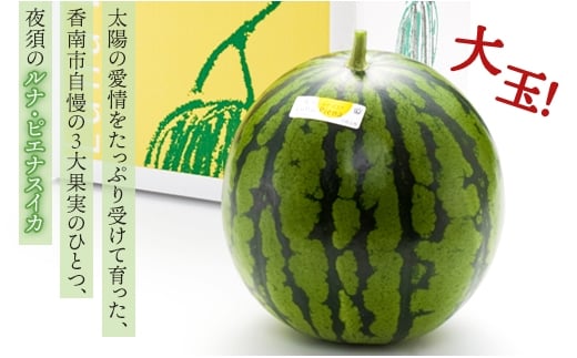 高知県産【ルナピエナすいか】高糖度  甘い  サクサク  小玉2玉 高知県産 夜須 ルナピエナスイカ すいか 秀品 2玉入 13〜14kg