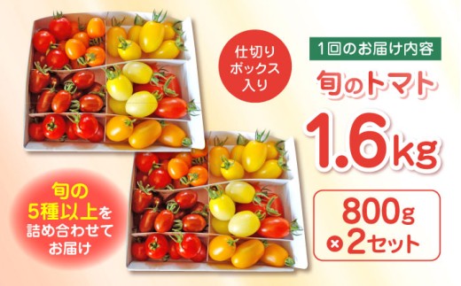 アイテムID:362416の画像4枚目