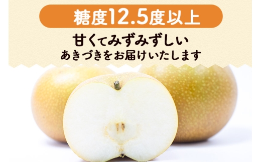 宮城県利府町のふるさと納税 数量限定 利府梨（あきづき）5kg（10玉前後）伊藤梨園 梨の名産地 宮城県利府町産