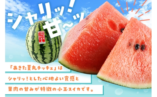 小玉すいか『あきた夏丸チッチェ』秋田県産 約2.1kg～2.7kg×1玉
