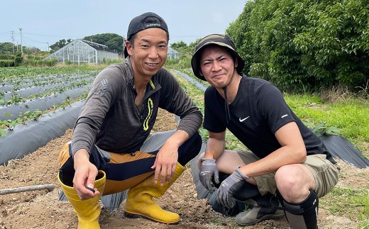iIMOn! -生食感 生きてる 干し芋-（べにはるか 5枚入り×5袋）150g×5袋 計750g