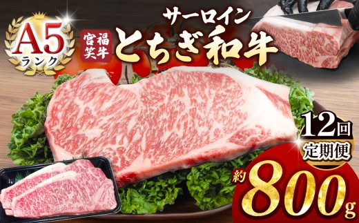 【定期便12回】宮福笑牛(とちぎ和牛) A5 サーロインステーキ 約200gx4枚  | 牛肉 和牛 ステーキ  定期便 サーロイン ステーキ ステーキ用 旨味 美味しい 肉 お肉  栃木県共通返礼品 栃木県 真岡市