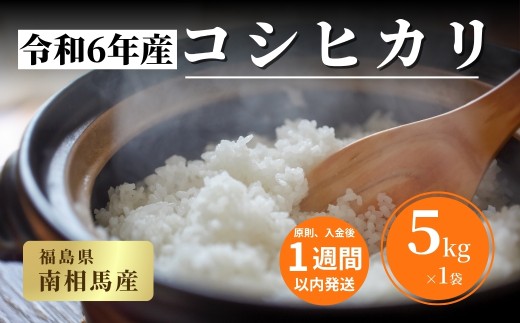 [令和6年産] 福島県産 コシヒカリ 白米 5kg × 1袋 | こしひかり 福島 福島産 精米 南相馬産 令和6年産米 星忠雄商店 星米店