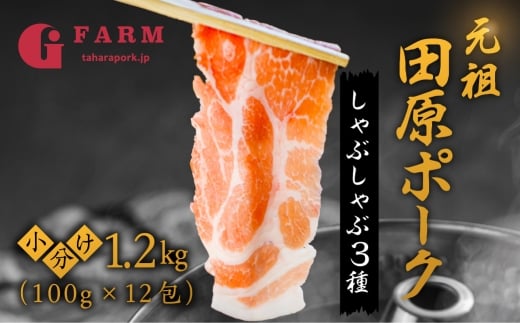 【6回 定期便】《1月から発送》国産 豚肉 食べ比べ 400g × 3 計 1.2kg しゃぶしゃぶ用 ロース 肩ロース バラ 冷凍 田原ポーク 小分け 200g ずつ 個包装 定期便