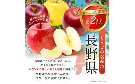 アイテムID:443621の画像8枚目