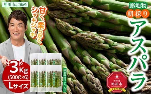 【2026年先行予約】朝採りアスパラ Lサイズ 3kg（500g×6）鮮度保持パック入り 旭川近郊産 露地物(5月中旬発送開始予定) 【 アスパラ アスパラガス 朝採り とれたて 野菜 旬 小分け 保存 産直 産地直送 お取り寄せ 旭川市 北海道 】_01592 916988 - 北海道旭川市