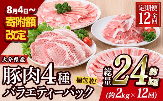＜定期便・全12回 (連続)＞ 豚肉 バラエティーパック (総量24kg・4種) 小分け 豚バラ スライス とんかつ ロース 豚こま しゃぶしゃぶ 鍋 大分県 佐伯市【BD210】【西日本畜産 (株)】