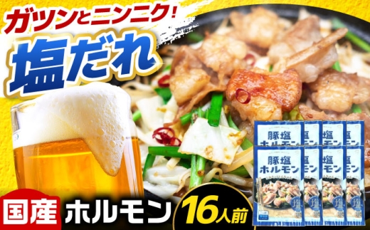 岐阜県産豚もつの鉄板焼き「元祖みたけとんちゃん」豚塩味（16人前） / モツ もつ 白もつ ホルモン / 御嵩町 / 藤よし [AVAA046] 2216325 - 岐阜県御嵩町