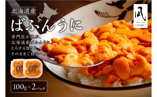 《北海道産》バフンウニ 塩水 100g×2パック