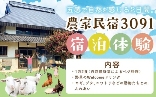 宿泊 農家民宿3091 宿泊体験 1泊2食 《30日以内に出荷予定(土日祝を除く)》Life3091 岡山県 笠岡市 体験 民宿 古民家 ごはん 自然 動物 ふれあい ヴィーガン