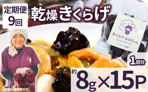 【定期便9回】乾燥きくらげ 8g×15P ともちゃん農園|定期便 乾燥きくらげ きくらげ 贈答用 乾燥 きくらげ 食物繊維 鉄分 カルシウム ビタミンD カリウム アミノ酸  高血圧予防 ふるさと 納税 栃木県 那珂川町 送料無料