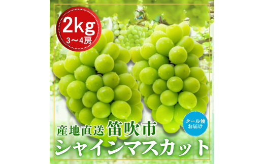 笛吹市からクール便発送 シャインマスカット 2㎏ 3～4房　ふるさと納税 ぶどう シャインマスカット 笛吹市 国産 人気 期間限定 果物 フルーツ 旬 山梨県 送料無料 226-011 2186602 - 山梨県笛吹市