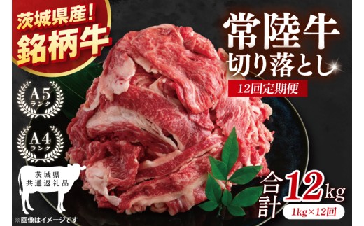 【茨城県共通返礼品】【12ヶ月定期便】常陸牛切り落とし 1kg（500g×2）【黒毛和牛 国産 銘柄牛 牛肉 肉 冷凍 茨城県産】(81-18) 2219126 - 茨城県阿見町