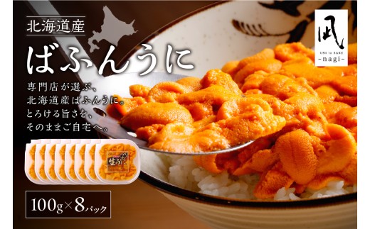《北海道産》バフンウニ 塩水 100g×8パック