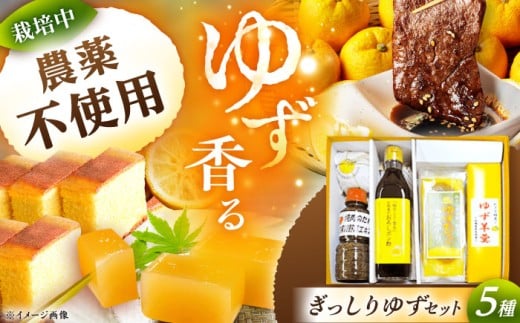 かさぎのゆず ぎっしりゆずセット / ポン酢 焼肉のたれ カステラ 柚子 ゆず / 恵那市 / かさぎゆず組合 [AUAW002]