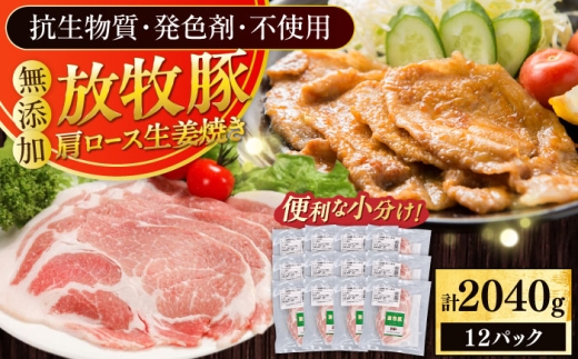 放牧豚 放牧豚 肩ロース生姜焼き 計2040g（170g×12）《厚真町》　【ファーマーズファクトリー株式会社】 [AXBA126]