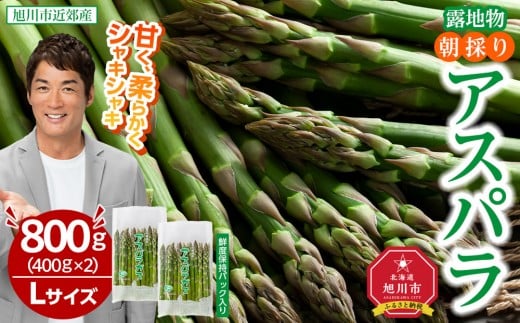 【2026年先行予約】露地物朝採りアスパラ　鮮度保持フィルム入り　Lサイズ　400g×2　合計800g(5月中旬発送開始予定) 【 アスパラ アスパラガス 朝採り とれたて 野菜 旬 小分け 保存 産直 産地直送 お取り寄せ 旭川市 北海道 】_03818 1348513 - 北海道旭川市