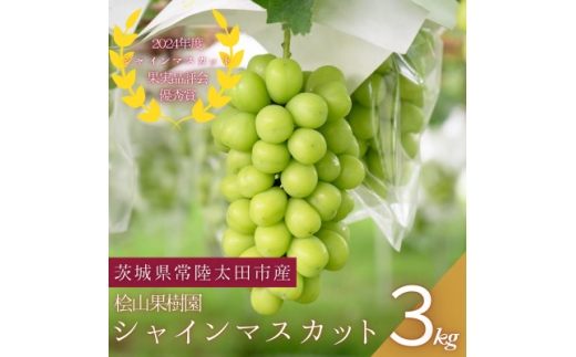 ＜数量限定!＞桧山果樹園のシャインマスカット　3kg【1645136】 2217344 - 茨城県茨城県庁