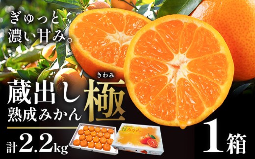 ＜先行予約＞ 蔵出し熟成みかん『極』 1箱 《2月中旬-2月末頃出荷予定》みかん ミカン 蜜柑 mikan 貯蔵 柑橘 佐那河内 さなごうち 徳島県 箱入り 化粧箱 S M L フルーツ 果物 くだもの 贈答 進物 