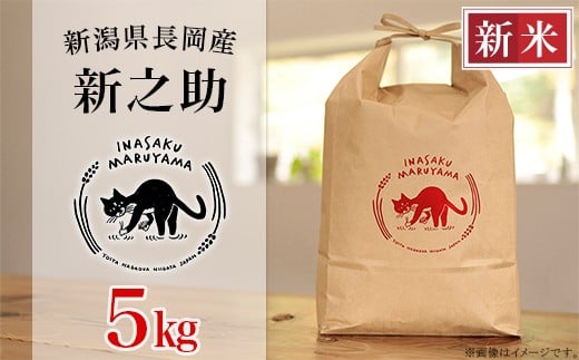 L4-S051新潟県長岡産 新之助 5kg 2195544 - 新潟県長岡市