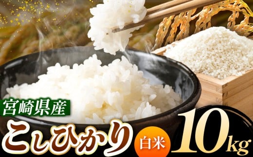 令和7年産 こしひかり 10kg (白米) 宮崎県産 | 米 こめ お米 おこめ 精米 白米 宮崎県 五ヶ瀬町 2197680 - 宮崎県五ヶ瀬町