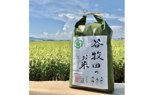 ＜令和7年度＞新米　三重県産コシヒカリ　精米5kg　オリジナルブランド谷牧田【1537666】