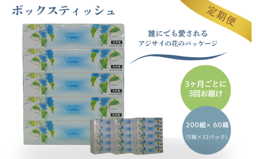 【3ヶ月ごとに3回お届け 定期便】 ルミネフローリー200W5P 12パック入