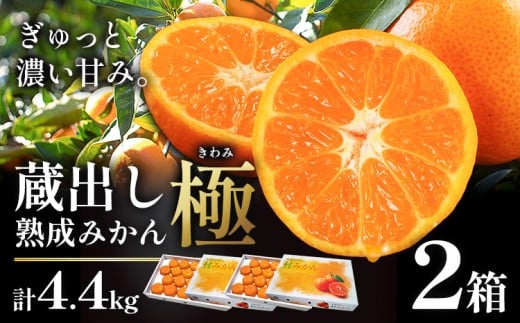 ＜先行予約＞ 蔵出し熟成みかん『極』 2箱 《2月中旬-2月末頃出荷予定》みかん ミカン 蜜柑 mikan 貯蔵 柑橘 佐那河内 さなごうち 徳島県 箱入り 化粧箱 S M L フルーツ 果物 くだもの 贈答 進物