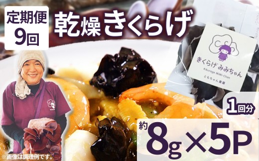 【定期便9回】乾燥きくらげ 8g×5P ともちゃん農園|定期便 乾燥きくらげ きくらげ 贈答用 乾燥 きくらげ 食物繊維 鉄分 カルシウム ビタミンD カリウム アミノ酸  高血圧予防 ふるさと 納税 栃木県 那珂川町 送料無料
