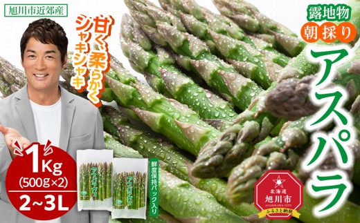 【2026年先行予約】露地物朝採りアスパラ　鮮度保持フィルム入り　2～3L　500g×2　合計1kg(5月中旬発送開始予定) 【 アスパラ アスパラガス 朝採り とれたて 野菜 旬 小分け 保存 産直 産地直送 お取り寄せ 旭川市 北海道 】_03817 1348512 - 北海道旭川市