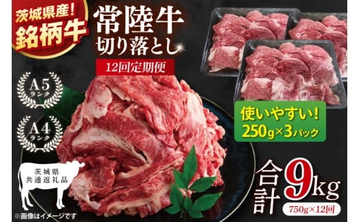 【茨城県共通返礼品】【12ヶ月定期便】常陸牛切り落とし 750g（250g×3）【黒毛和牛 国産 銘柄牛 牛肉 肉 冷凍 茨城県産】(81-29) 2219618 - 茨城県阿見町