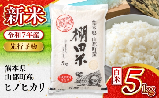 【先行予約】【11月より順次発送】令和7年度産 新米 棚田米 ヒノヒカリ 白米 5kg【栗崎米穀】 [YEA001] 2215856 - 熊本県山都町