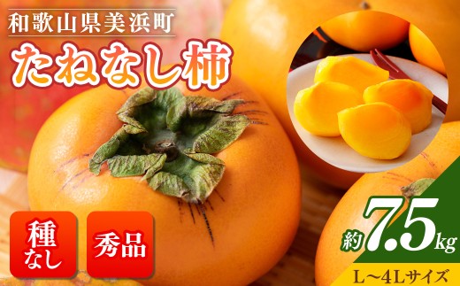 [先行予約][秋の美味][和歌山ブランド]濃厚たねなし柿 秀品 L〜4Lサイズ 約7.5kg入り◇※北海道・沖縄・離島への配送不可※2025年10月上旬〜11月上旬頃に順次発送予定[GO-02]