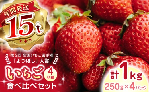 いちご 食べ比べ セット 国産 農園直送 産地直送 熊本県産 山都町産 イチゴ 苺 ストロベリー フルーツ 果物