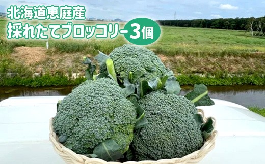 北海道恵庭産採れたてブロッコリー3個