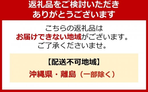 大阪府堺市のふるさと納税 ライオン「NANOX oneニオイ専用」つめかえ用特大6袋　820g×6袋