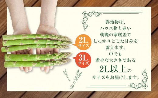 アイテムID:358205の画像3枚目