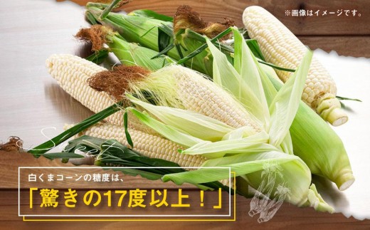 規格外 白いとうもろこし 70本 熊本県あさぎり町産白いとうもろこし「プラチナコーンX」3L×10本
