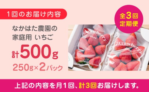 いちご 食べ比べ セット 国産 農園直送 産地直送 熊本県産 山都町産 イチゴ 苺 ストロベリー フルーツ 果物
