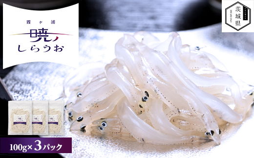 ＜先行予約＞霞ヶ浦　暁のしらうお　100g×3パック【1583295】