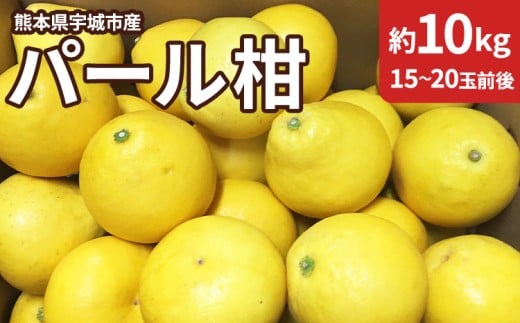 [先行予約]熊本県宇城市産 パール柑 約10kg [2026年2月上旬から4月中旬発送予定]文旦 柑橘 フルーツ 果物 果実 みかん 蜜柑 ミカン