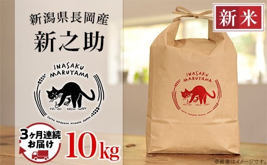 L4-S103【3ヶ月連続お届け】新潟県長岡産 新之助 10kg